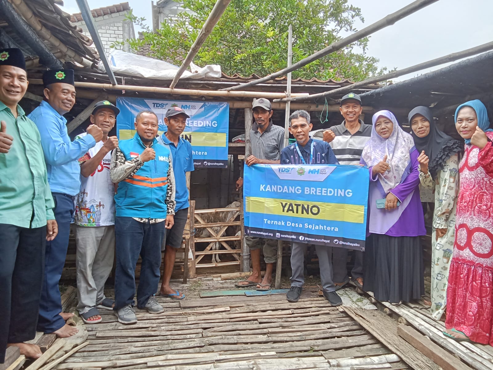 Penyerahan Kambing  Program Kandang Breeding Ternak Desa Sejahtera kerjasama KSPPS BMT Mandiri Sejahtera Jawa Timur dengan Nurul Hayat Cabang Gresik kepada Peternak di Desa Gedong Kedo'an Dukun Gresik